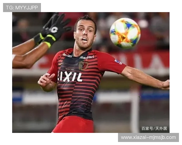 世界杯球队粉丝互动指南，如何支持你喜爱的球队赢得比赛