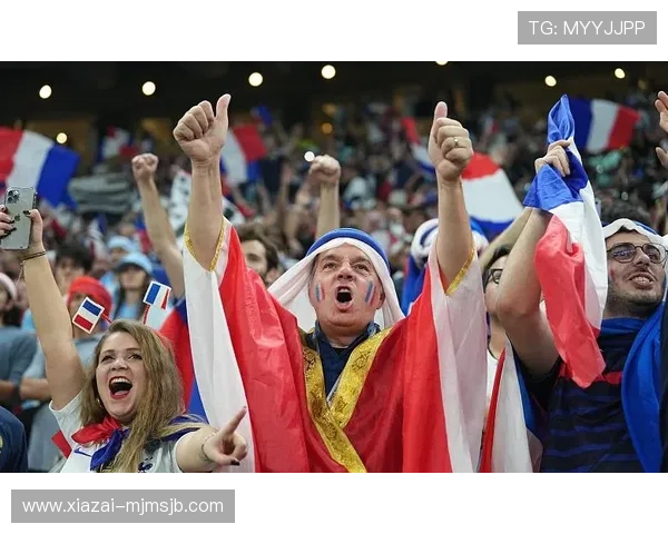 卡塔尔世界杯球迷图片集锦，展示不同国家球迷的独特风采与精彩瞬间