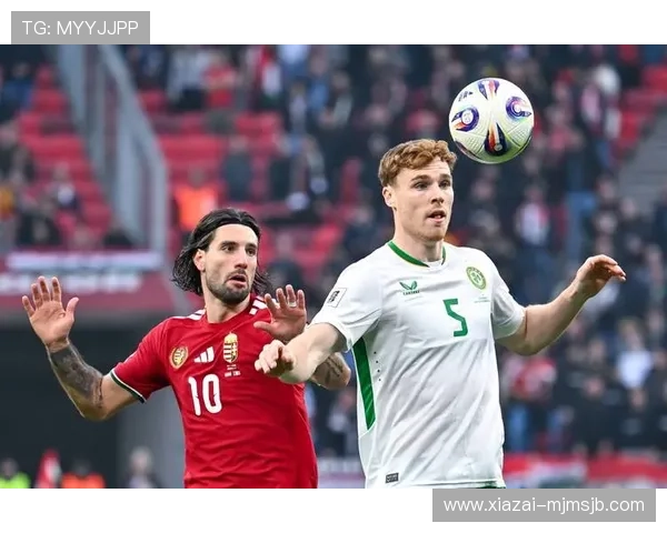 2026年世界杯预选赛欧洲区G组积分榜详细更新及排名变化趋势解析