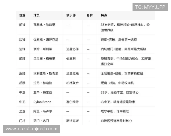 2026年世界杯瑞典对阵突尼斯比赛阵容最新预测与战术布局解析
